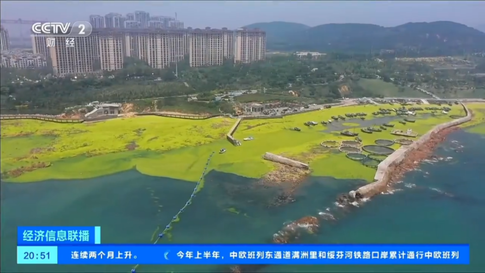 DIEY用遥感AI助力浒苔绿潮灾害防治 共护海洋生态